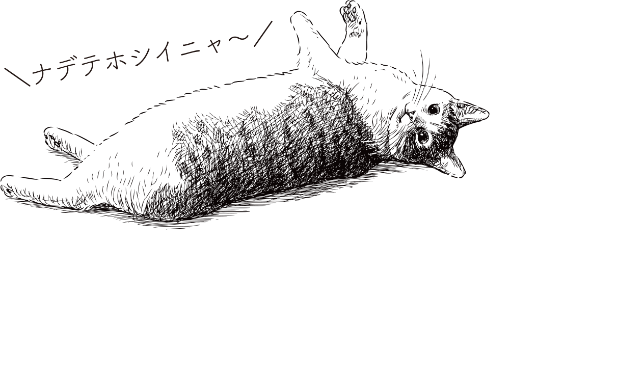 \テガアレテルニャン/